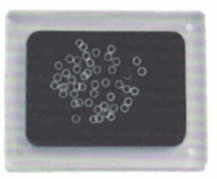  Plastic box packaging(pic1)